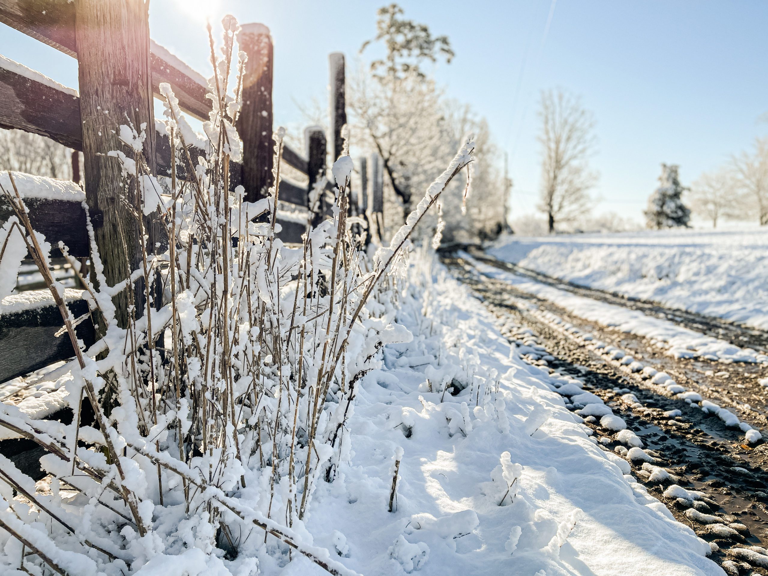 farm covered in snow